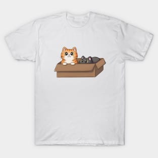 Cute Orange Cat And Black Cat In Box T-Shirt